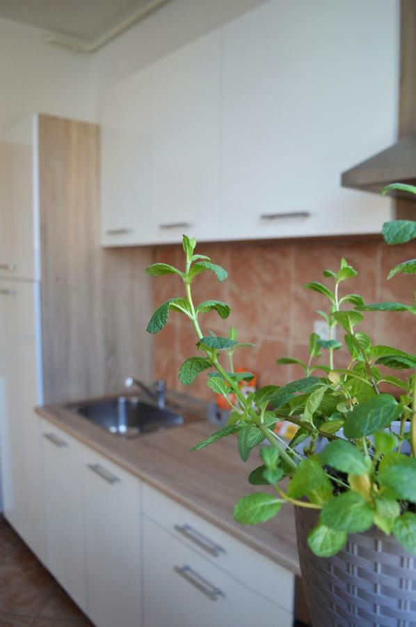 Apartment Marlena 萨格勒布 外观 照片